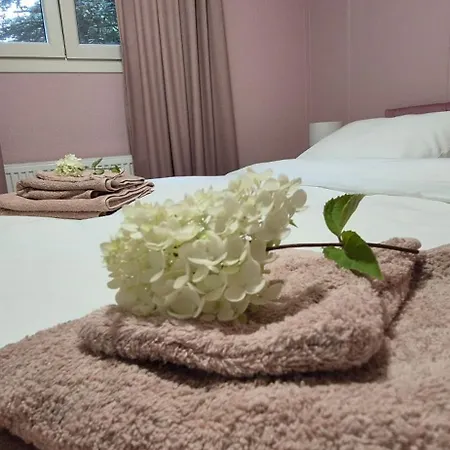샬레 Boutiquehuisje 603 로헴